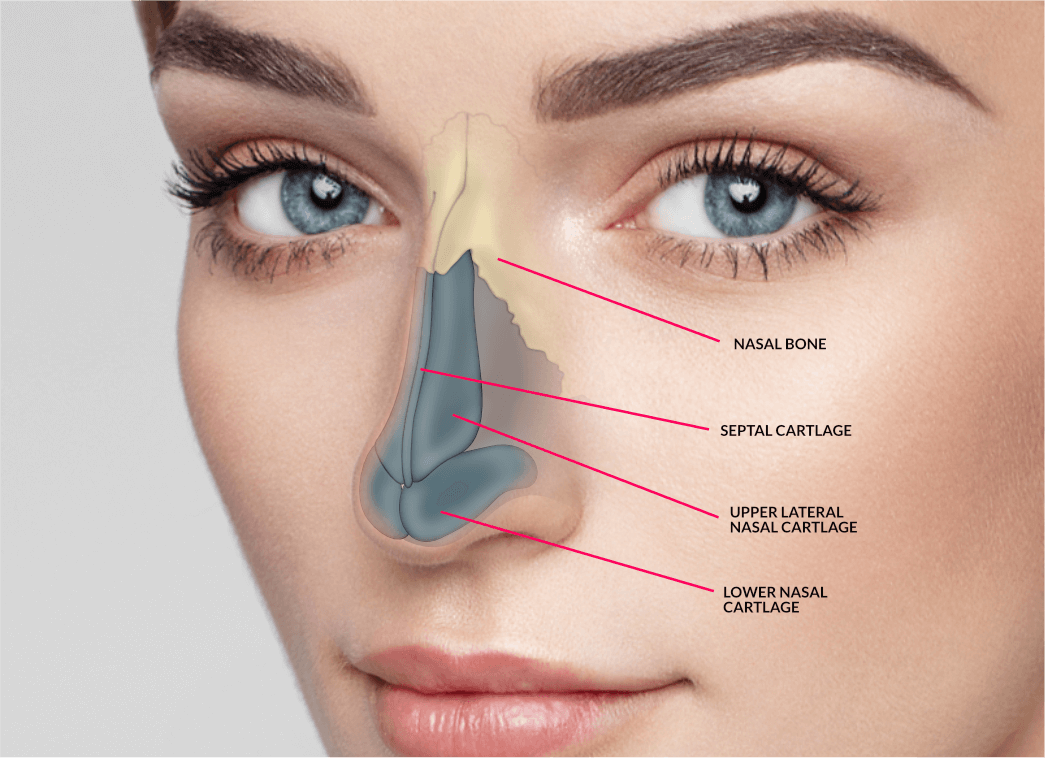 Nose Job in Dubai